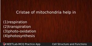 Cristae Of Mitochondria Help In Biology Question