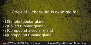 Crypt Of Lieberkuhn Is Example For Biology Question