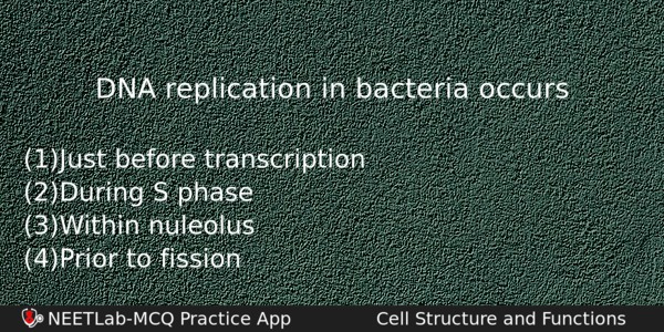 Dna Replication In Bacteria Occurs Biology Question 