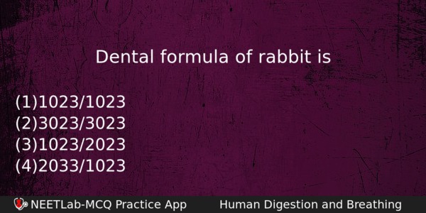 Dental Formula Of Rabbit Is Biology Question 
