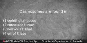 Desmosomes Are Found In Biology Question