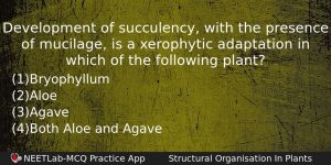 Development Of Succulency With The Presence Of Mucilage Is A Biology Question