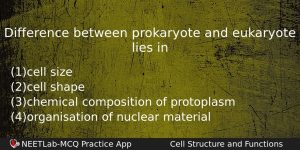 Difference Between Prokaryote And Eukaryote Lies In Biology Question