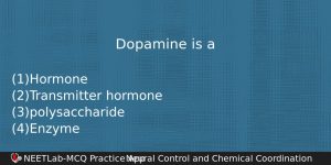 Dopamine Is A Biology Question