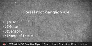 Dorsal Root Ganglion Are Biology Question