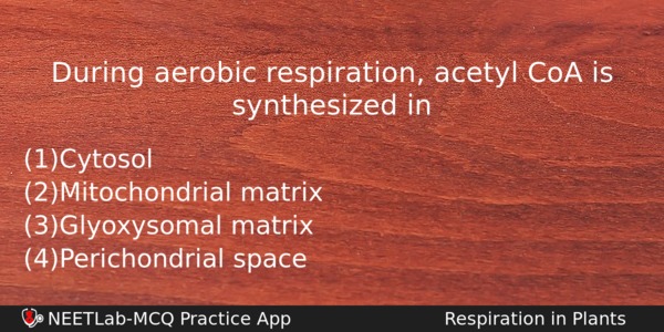 During Aerobic Respiration Acetyl Coa Is Synthesized In Biology Question 