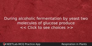 During Alcoholic Fermentation By Yeast Two Molecules Of Glucose Produce Biology Question
