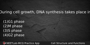 During Cell Growth Dna Synthesis Takes Place In Biology Question