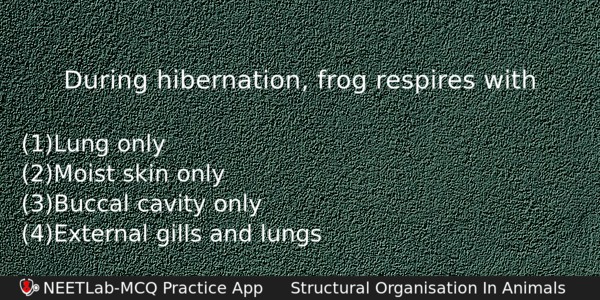 During Hibernation Frog Respires With Biology Question 