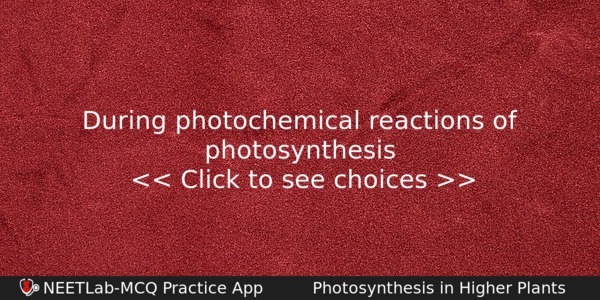 During Photochemical Reactions Of Photosynthesis Biology Question 