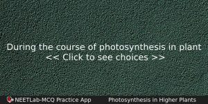 During The Course Of Photosynthesis In Plant Biology Question