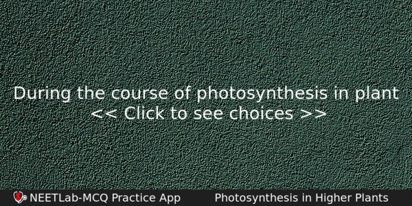 During The Course Of Photosynthesis In Plant Biology Question 
