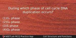During Which Phase Of Cell Cycle Dna Duplication Occurs Biology Question