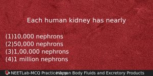 Each Human Kidney Has Nearly Biology Question