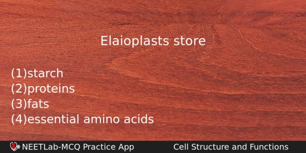Elaioplasts Store Biology Question 