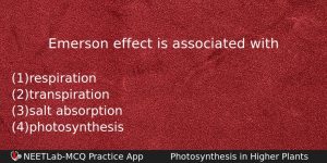 Emerson Effect Is Associated With Biology Question