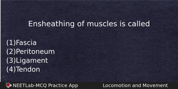 Ensheathing Of Muscles Is Called Biology Question 