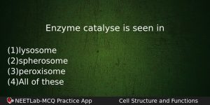 Enzyme Catalyse Is Seen In Biology Question