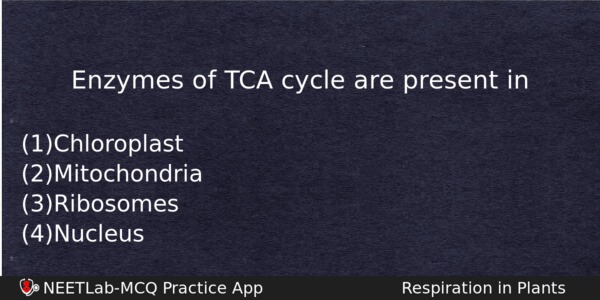 Enzymes Of Tca Cycle Are Present In Biology Question 