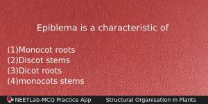 Epiblema Is A Characteristic Of Biology Question