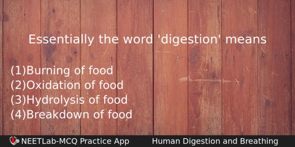 Essentially The Word Digestion Means Biology Question 