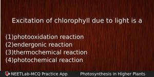 Excitation Of Chlorophyll Due To Light Is A Biology Question