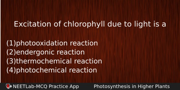 Excitation Of Chlorophyll Due To Light Is A Biology Question 