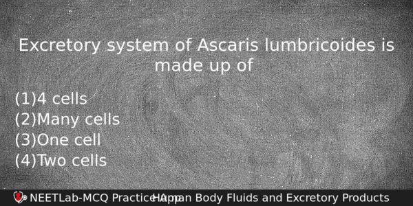 Excretory System Of Ascaris Lumbricoides Is Made Up Of Biology Question 