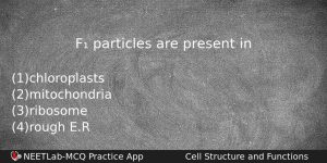 F Particles Are Present In Biology Question