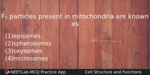 F Particles Present In Mitochondria Are Known As Biology Question