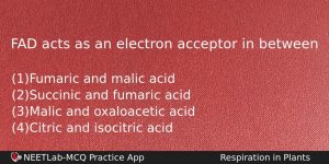 Fad Acts As An Electron Acceptor In Between Biology Question