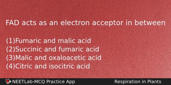 Fad Acts As An Electron Acceptor In Between Biology Question 