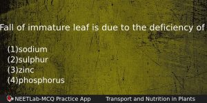 Fall Of Immature Leaf Is Due To The Deficiency Of Biology Question