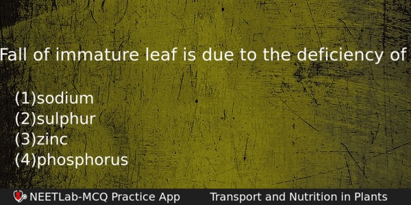 Fall Of Immature Leaf Is Due To The Deficiency Of Biology Question 