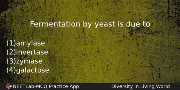 Fermentation By Yeast Is Due To Biology Question 
