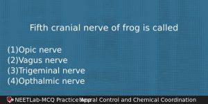 Fifth Cranial Nerve Of Frog Is Called Biology Question
