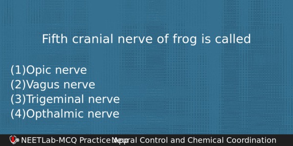 Fifth Cranial Nerve Of Frog Is Called Biology Question 