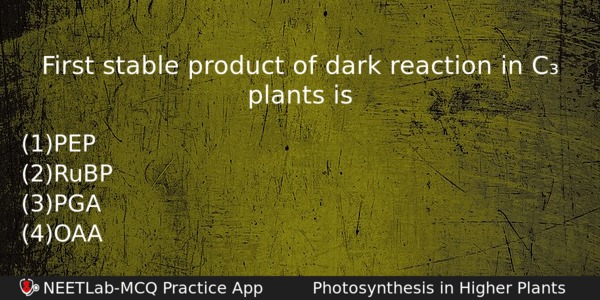 First Stable Product Of Dark Reaction In C Plants Is Biology Question 