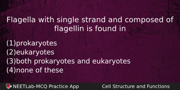 Flagella With Single Strand And Composed Of Flagellin Is Found Biology Question 