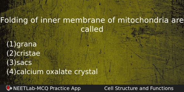 Folding Of Inner Membrane Of Mitochondria Are Called Biology Question 