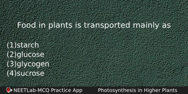 Food In Plants Is Transported Mainly As Biology Question 