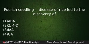 Foolish Seedling Disease Of Rice Led To The Discovery Biology Question