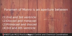 Foramen Of Monro Is An Aperture Between Biology Question
