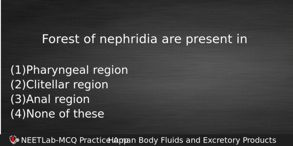 Forest Of Nephridia Are Present In Biology Question 