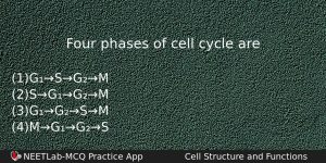 Four Phases Of Cell Cycle Are Biology Question