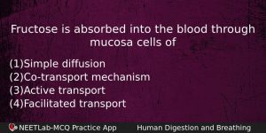 Fructose Is Absorbed Into The Blood Through Mucosa Cells Of Biology Question