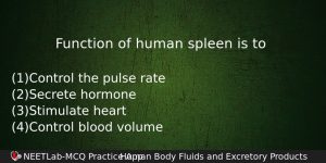Function Of Human Spleen Is To Biology Question