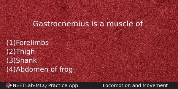 Gastrocnemius Is A Muscle Of Biology Question 