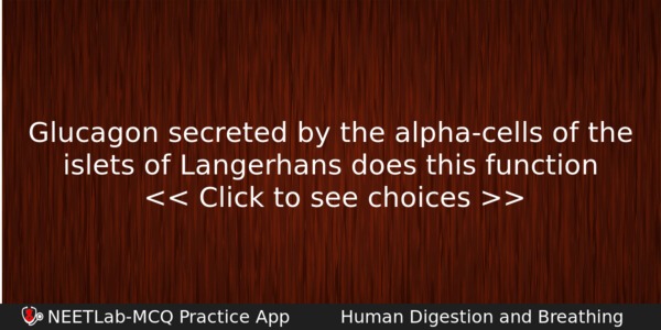 Glucagon Secreted By The Alphacells Of The Islets Of Langerhans Biology Question 