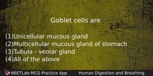 Goblet Cells Are Biology Question